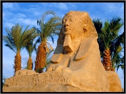 Sfinksów, Luksor, Egipt, Aleja